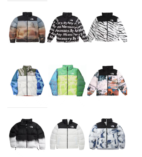 The north face outdoor windproof Jacket